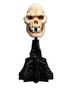 SKULL OF LURTZ™