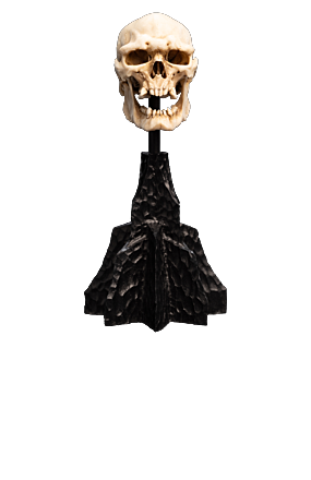 SKULL OF A MORDOR™ ORC