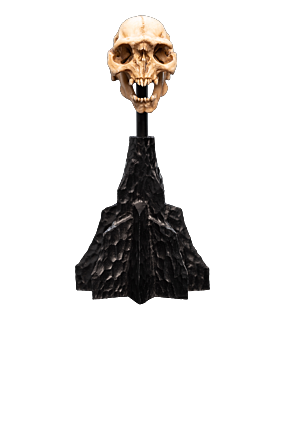 SKULL OF A MORIA™ ORC