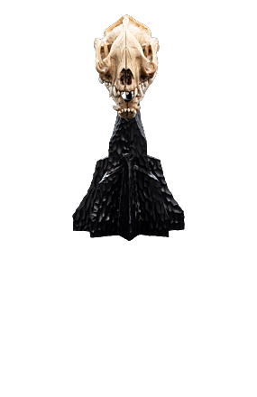 SKULL OF A WARG™